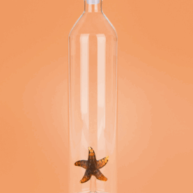 Ampolla Atlantis Estrella de Mar 1,2L Borosilicat